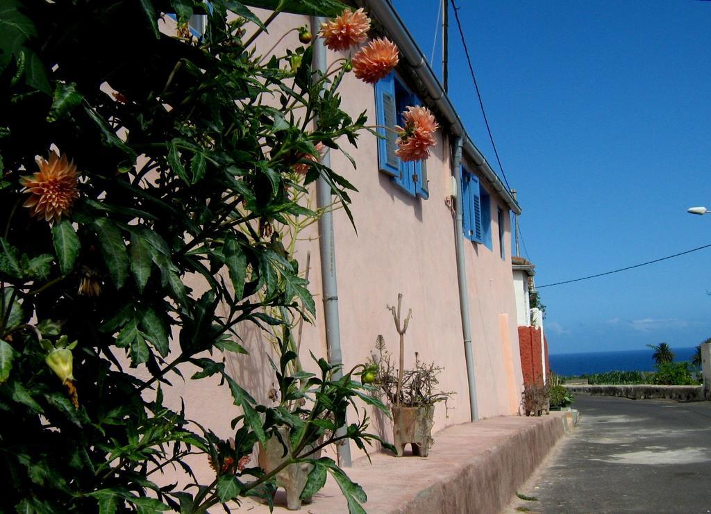Casa Coronela Villa Garachico  Exterior foto